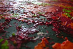 13d1-jemaitiendraiII