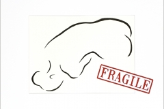 FRAGILE