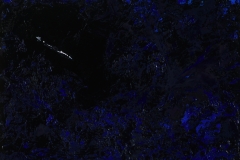 10-outoftheblue
